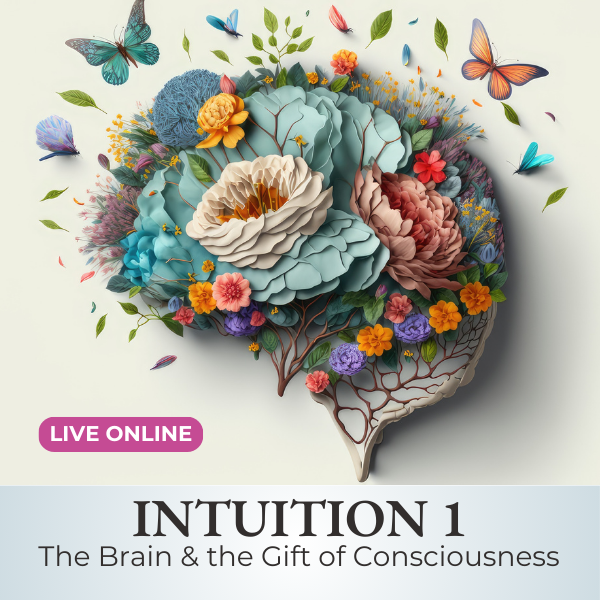 Live Course | Intuition 1 - The Brain and the Gift of Consciousness