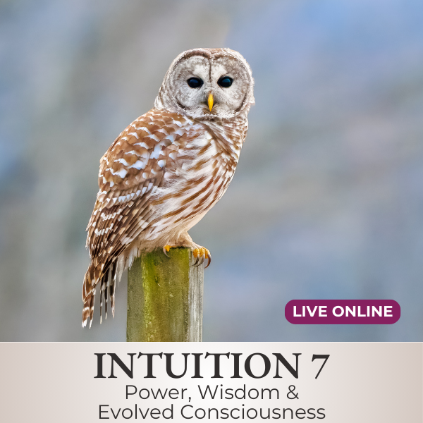 Live Class - Intuition 7 - Power, Wisdom, and Evolved Consciousness | Oct 18-19-20, 2024