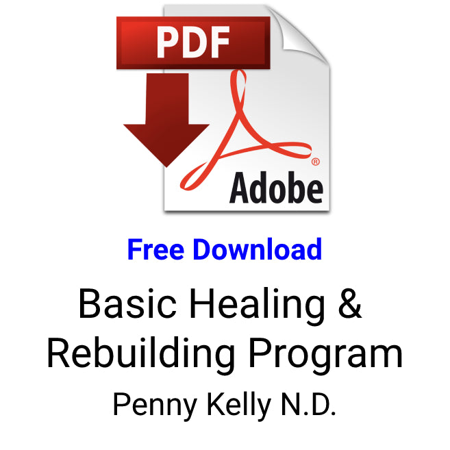 FREE PDF - Basic Healing & Rebuilding Program (version 2.2)